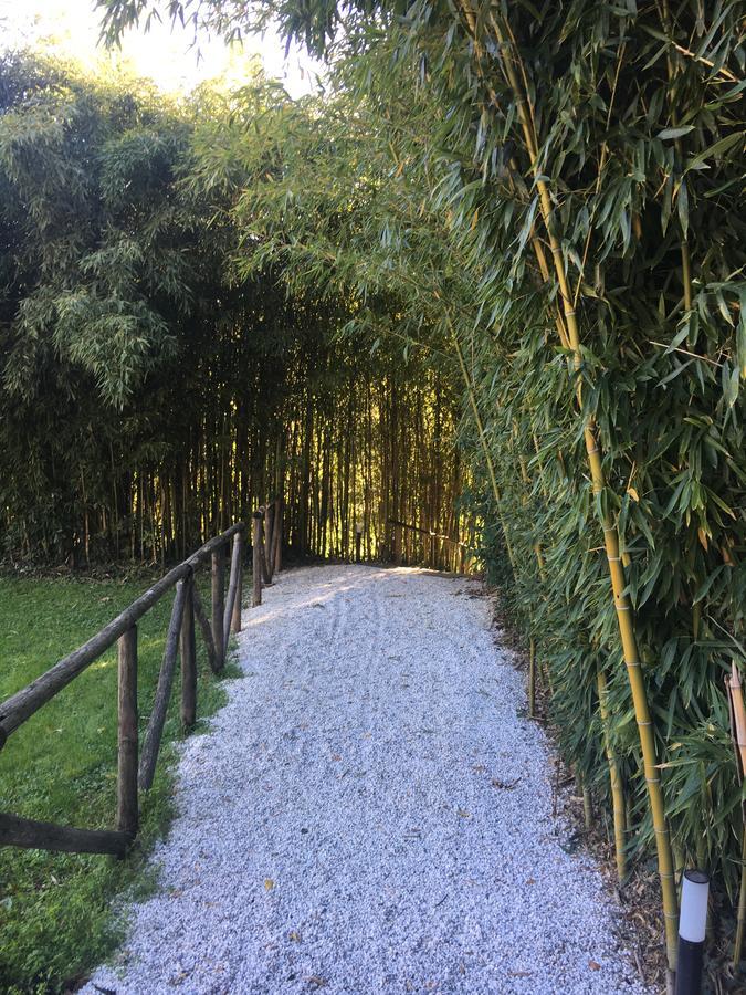 Villa La Bianca Camaiore Exterior foto